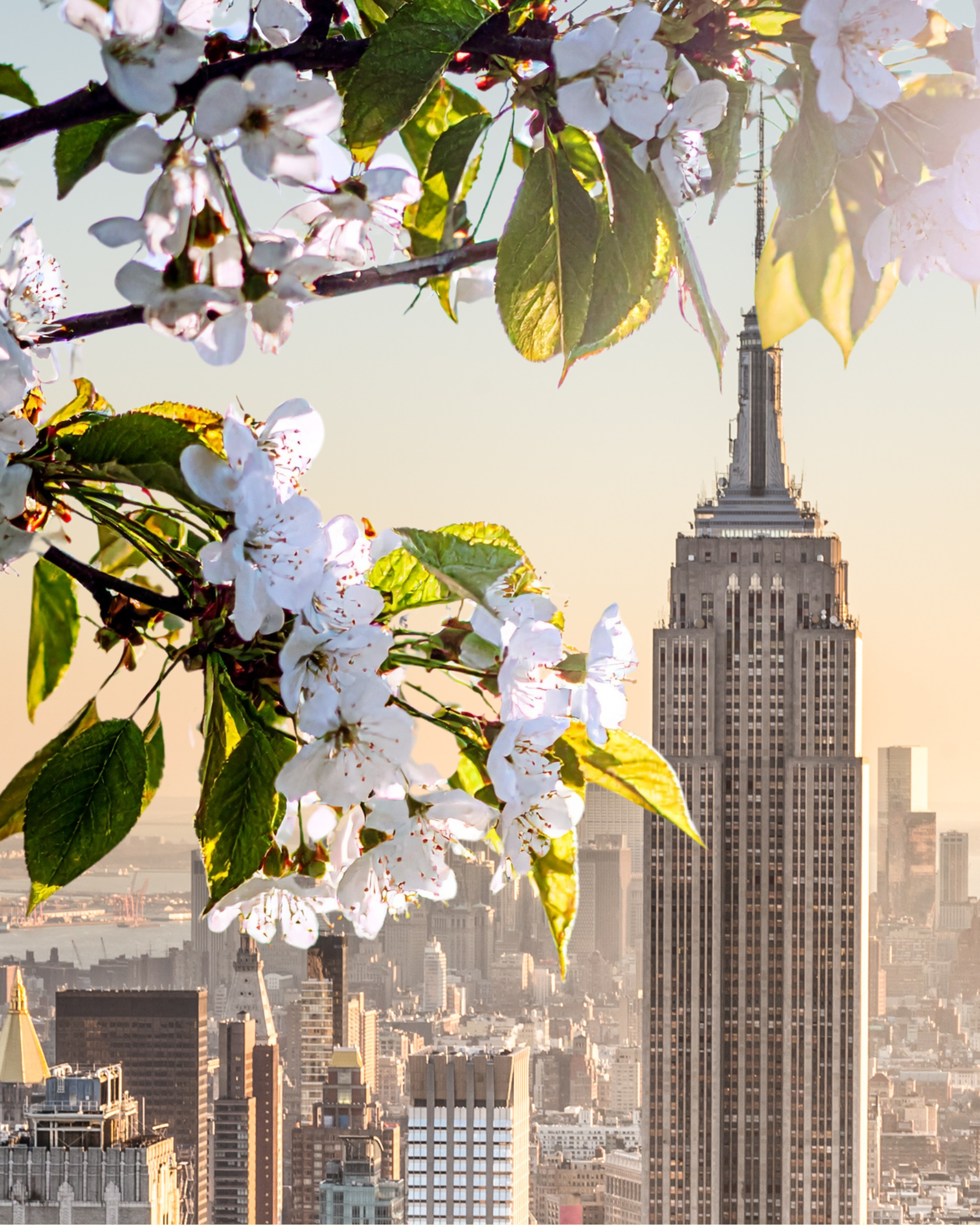 Spring Reset in New York City